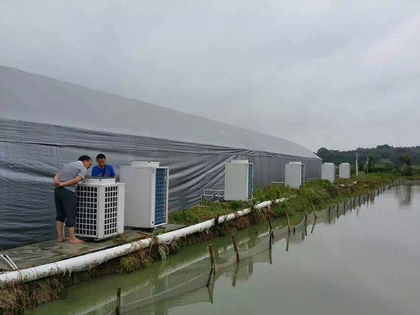 魚池加溫養殖